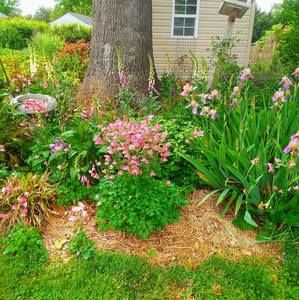 Meet your Posher, Wanda